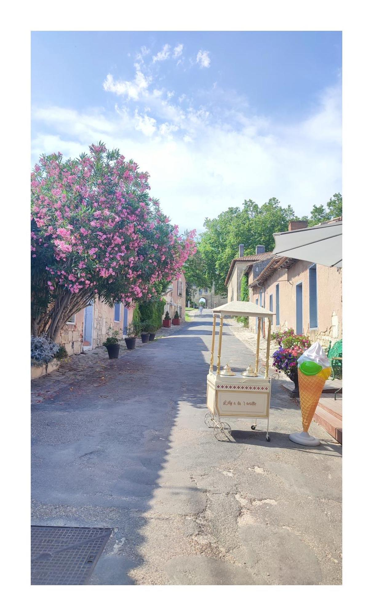 Fronsac  Maison Charmeilles - La Suite Saint Emilion מראה חיצוני תמונה